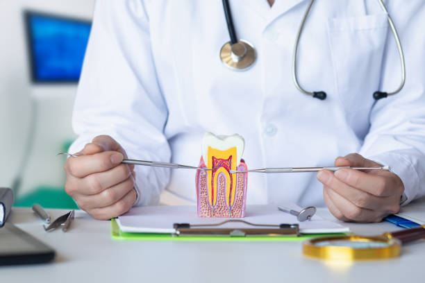 Best Emergency Care for Gum Disease in Red Bank, TN
